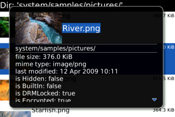 BBFileScout